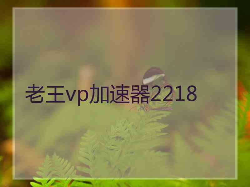 老王vp加速器2218