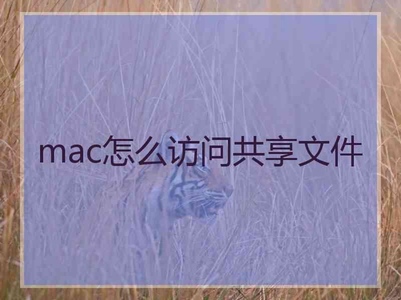 mac怎么访问共享文件