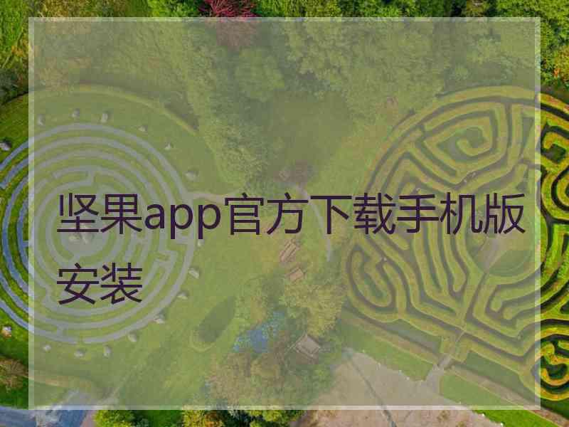 坚果app官方下载手机版安装