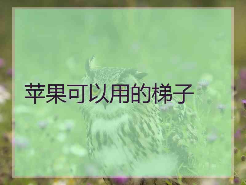 苹果可以用的梯子