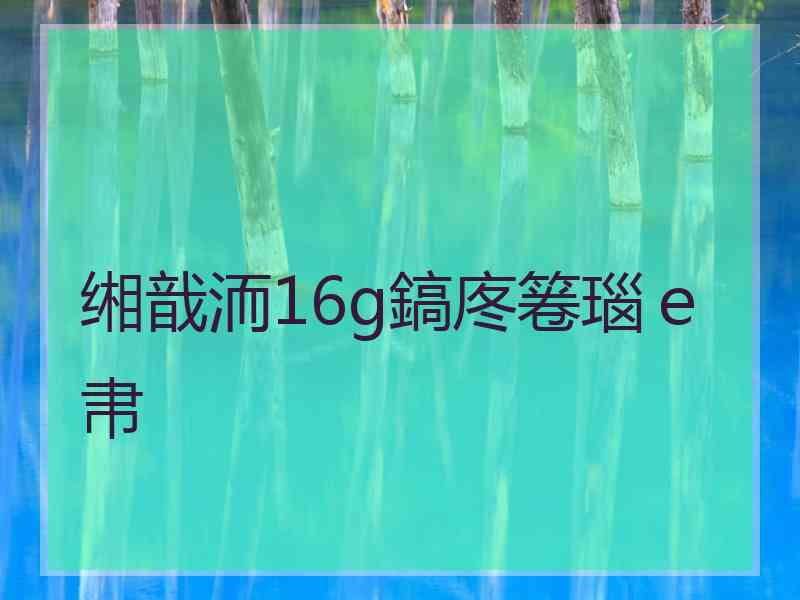 缃戠洏16g鎬庝箞瑙ｅ帇