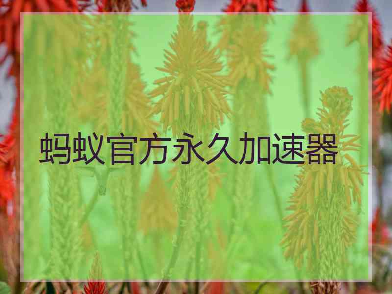 蚂蚁官方永久加速器