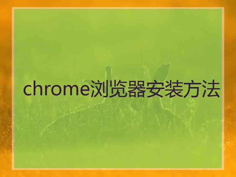 chrome浏览器安装方法