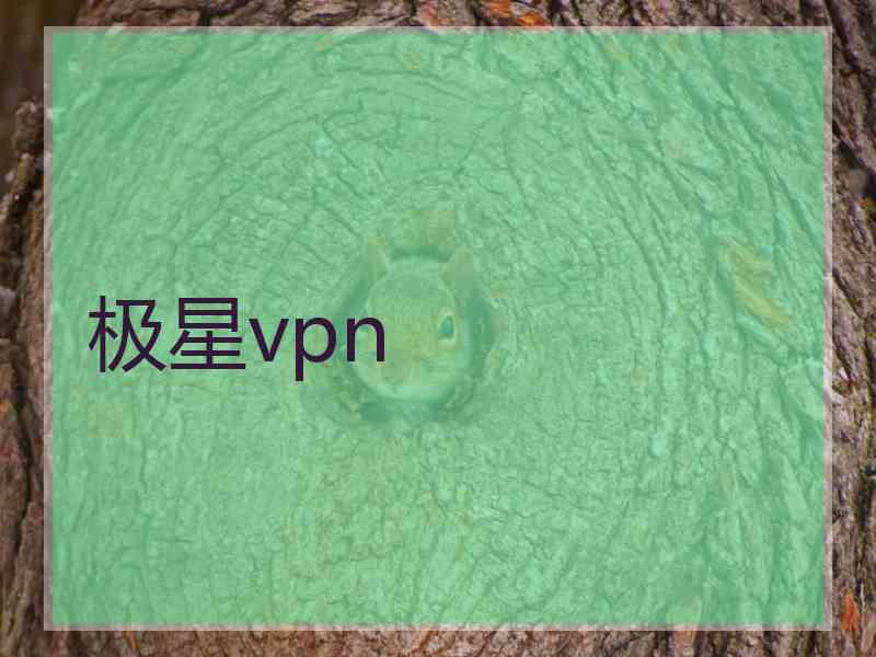 极星vpn