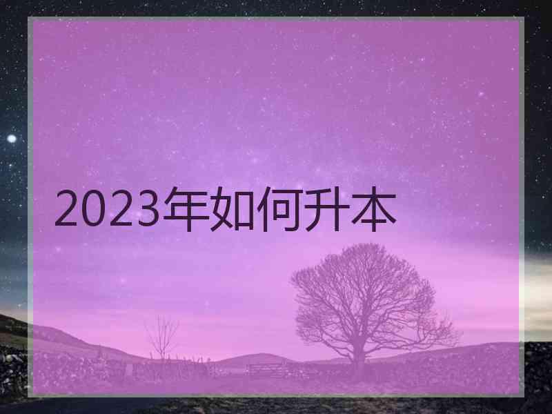 2023年如何升本