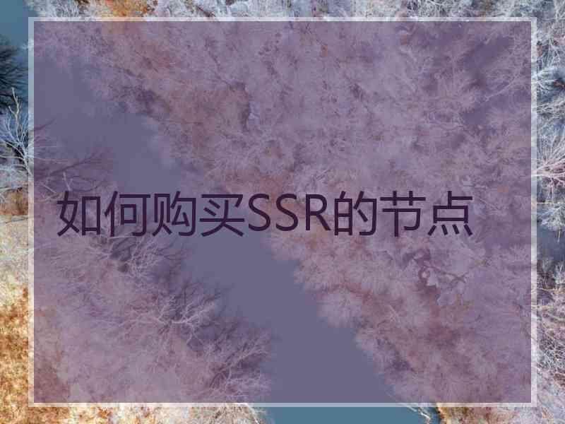 如何购买SSR的节点