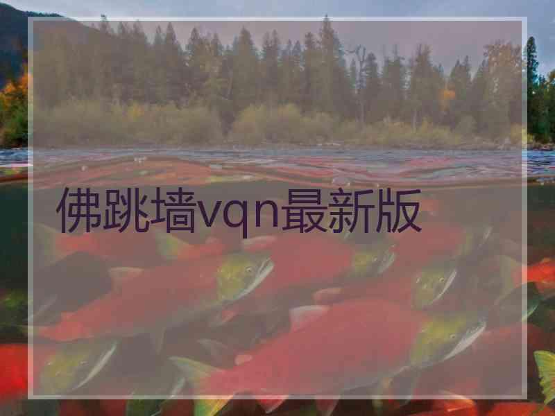 佛跳墙vqn最新版