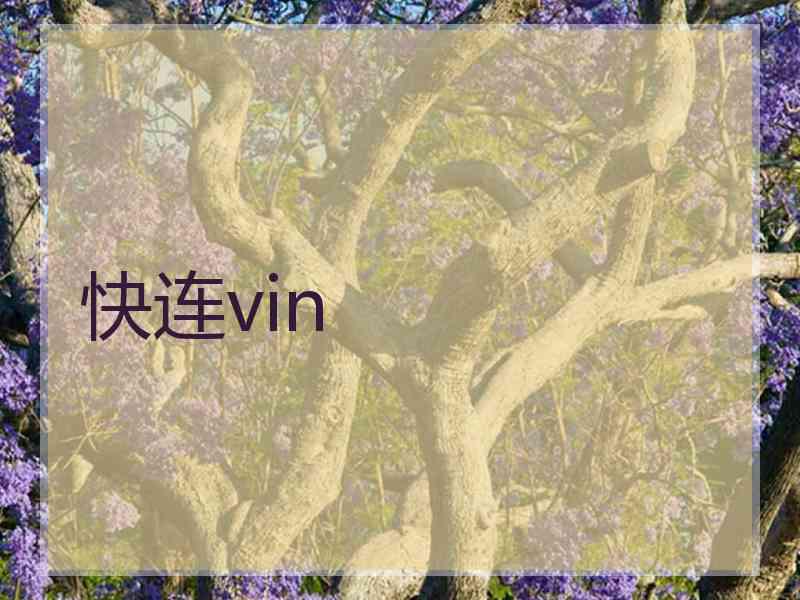 快连vin