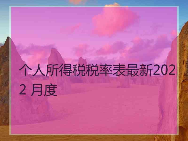 个人所得税税率表最新2022 月度