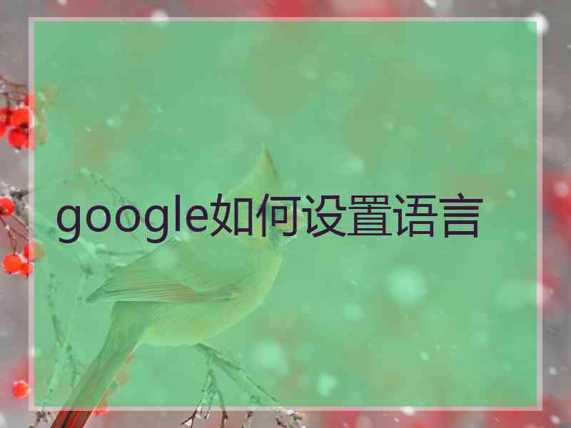 google如何设置语言