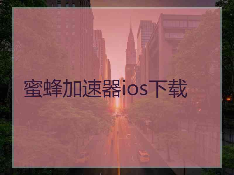 蜜蜂加速器ios下载