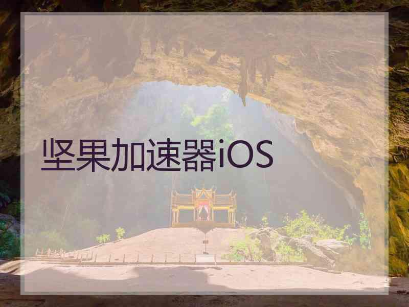 坚果加速器iOS