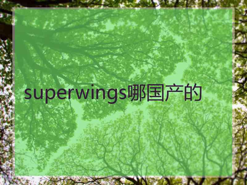 superwings哪国产的