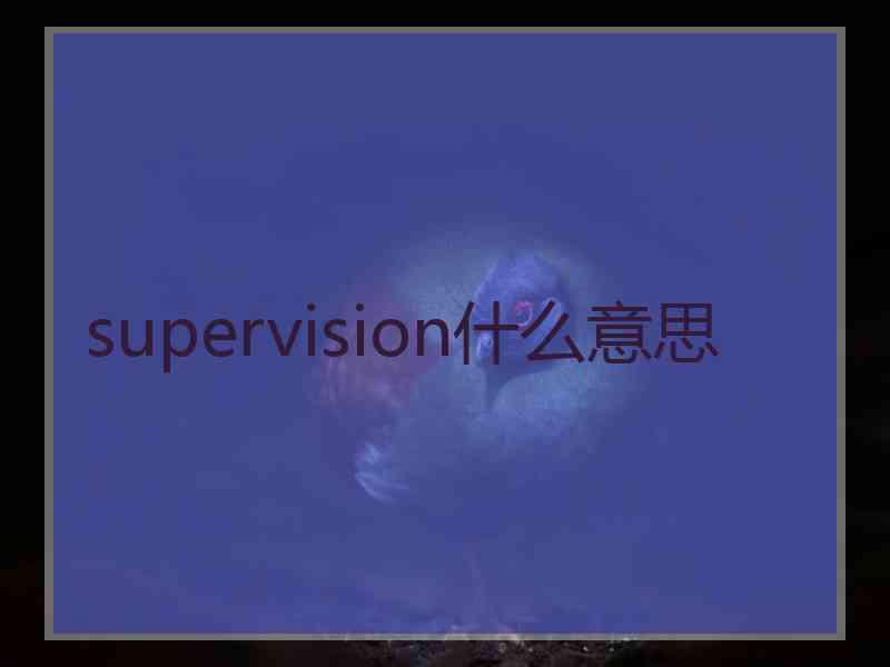 supervision什么意思