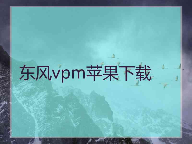 东风vpm苹果下载