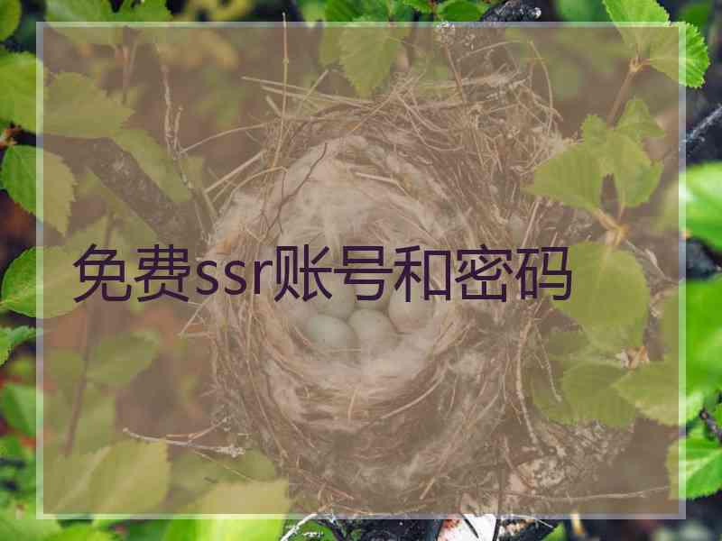 免费ssr账号和密码