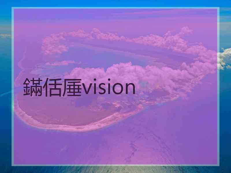 鏋佸厜vision