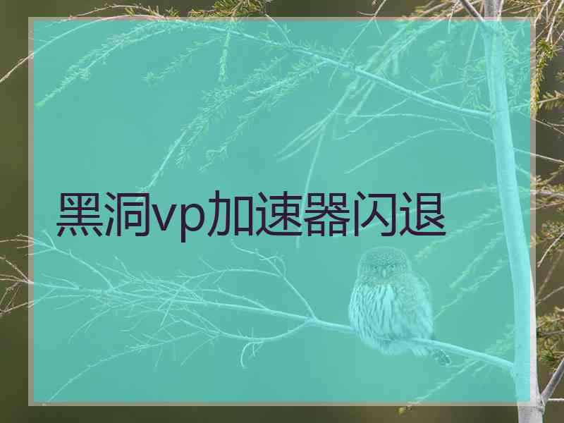 黑洞vp加速器闪退