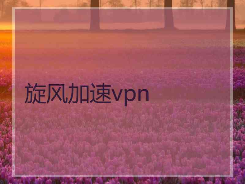 旋风加速vpn