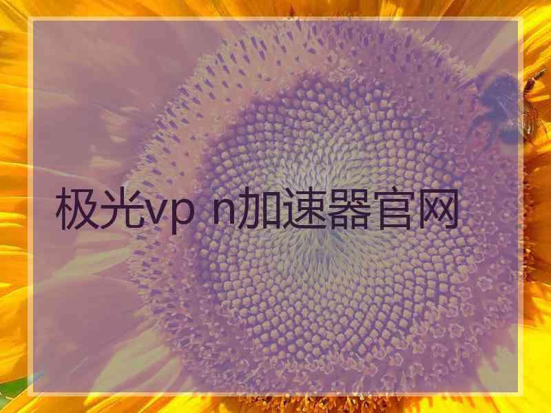 极光vp n加速器官网