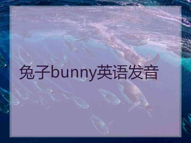 兔子bunny英语发音