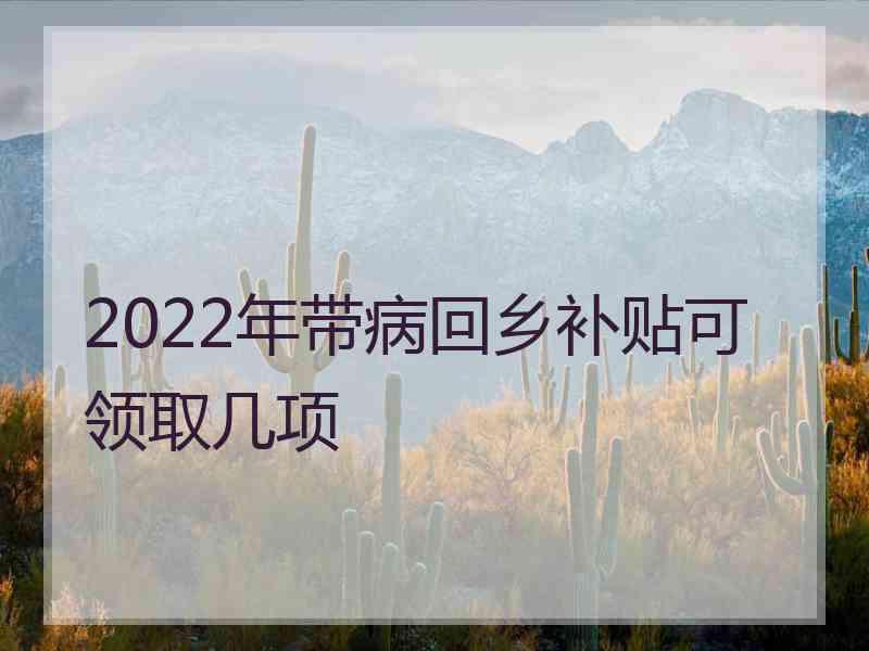 2022年带病回乡补贴可领取几项