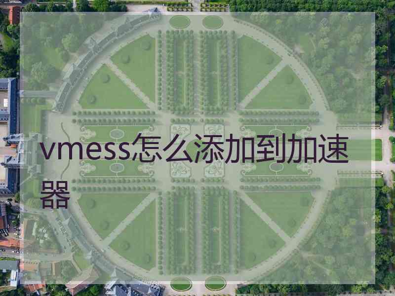 vmess怎么添加到加速器