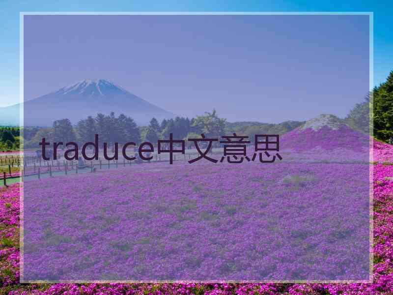 traduce中文意思