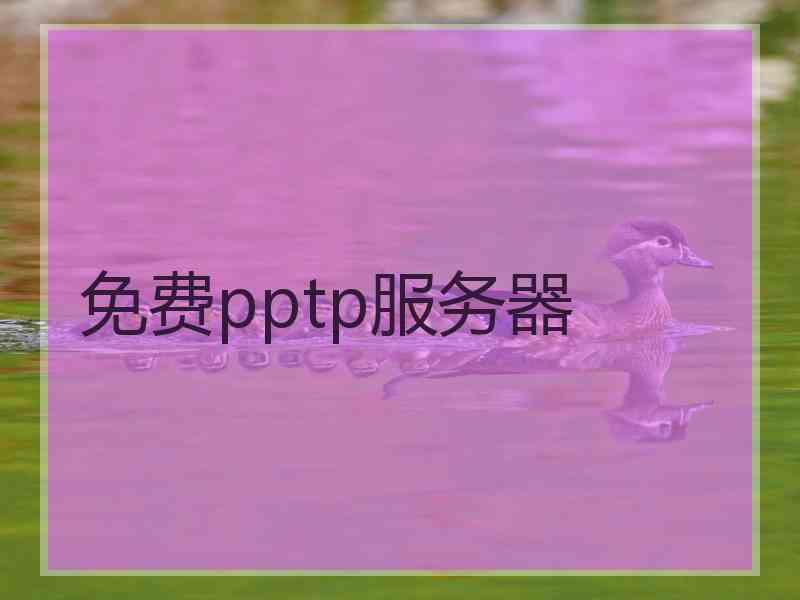 免费pptp服务器