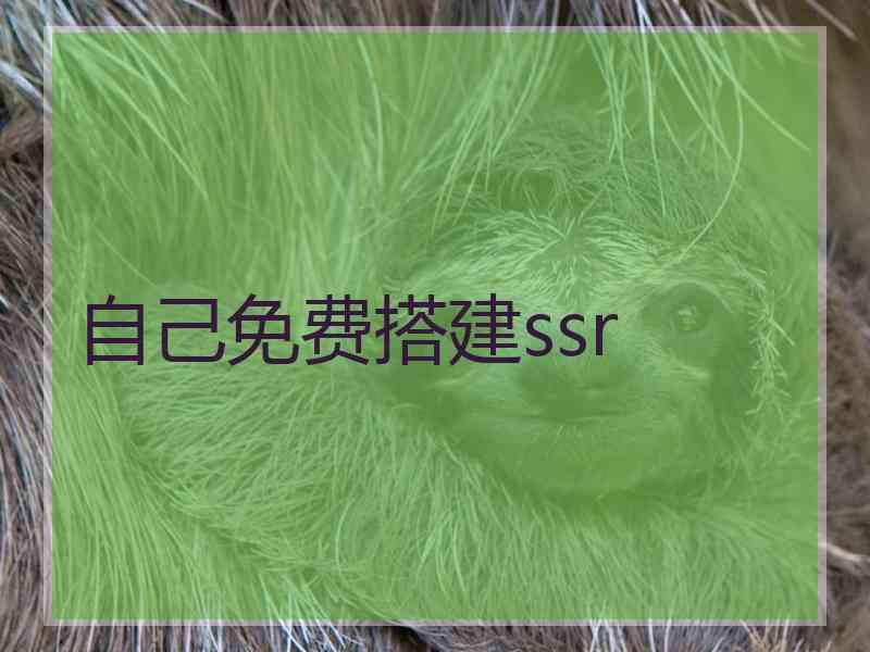 自己免费搭建ssr