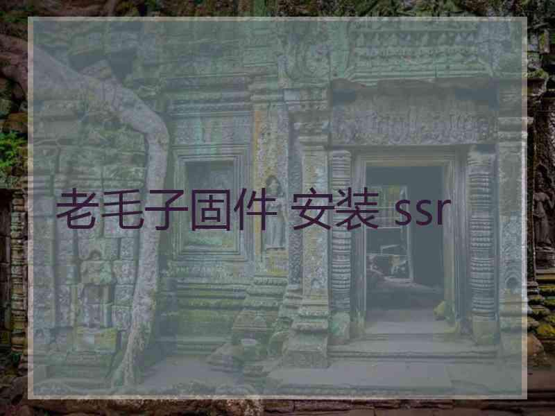 老毛子固件 安装 ssr