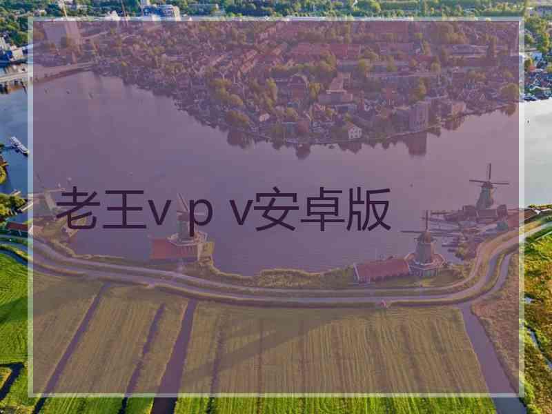 老王v p v安卓版