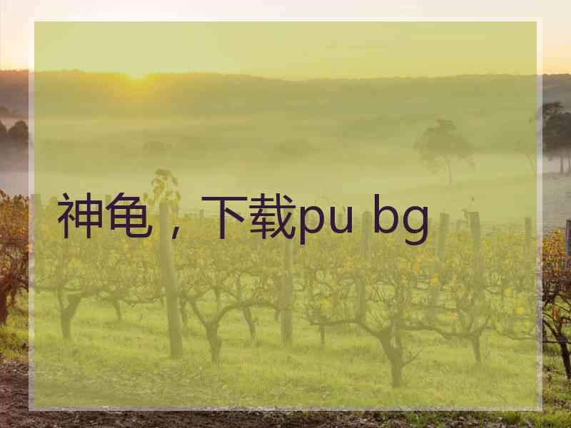 神龟，下载pu bg