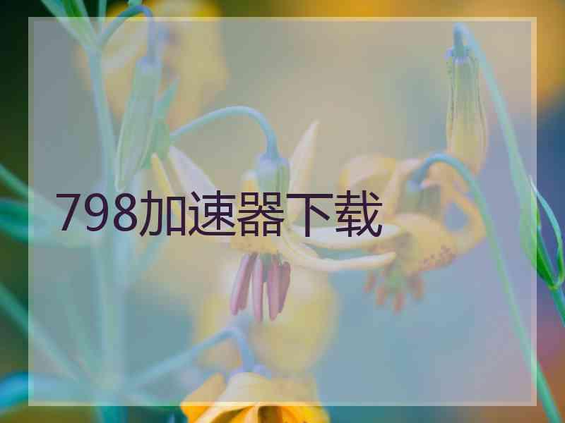 798加速器下载