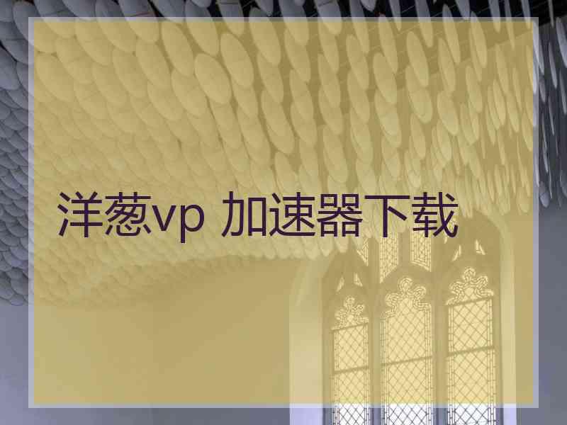 洋葱vp 加速器下载