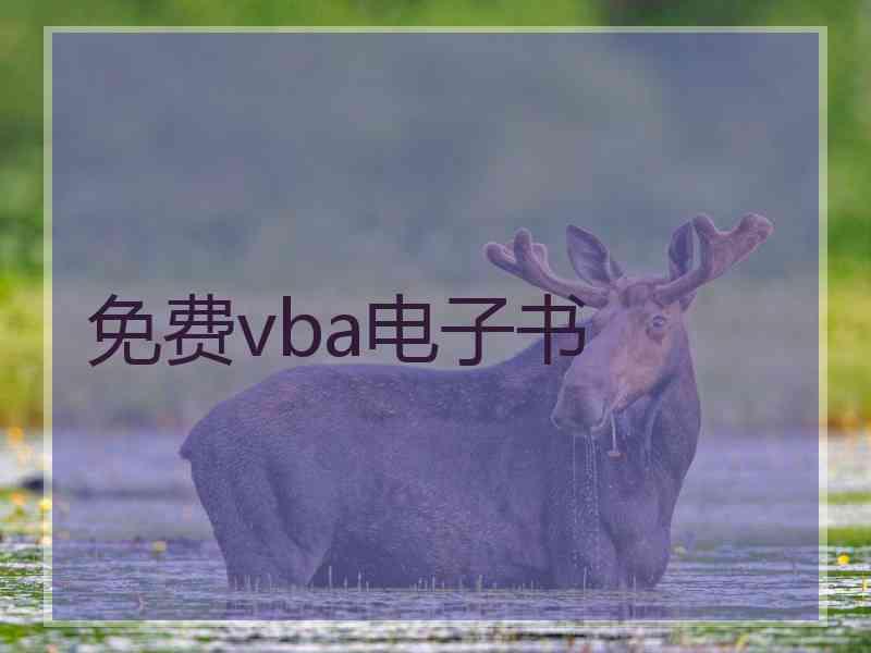 免费vba电子书