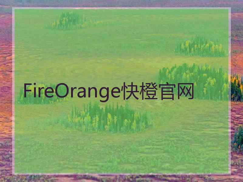 FireOrange快橙官网