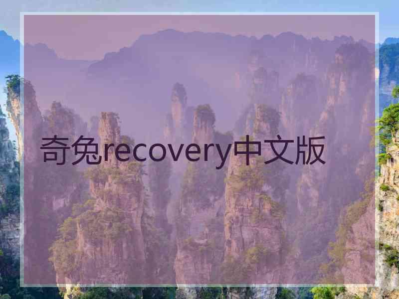 奇兔recovery中文版