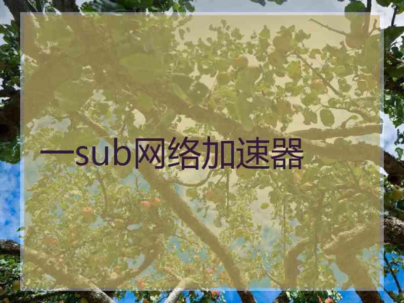 一sub网络加速器