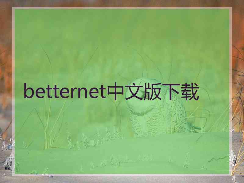 betternet中文版下载