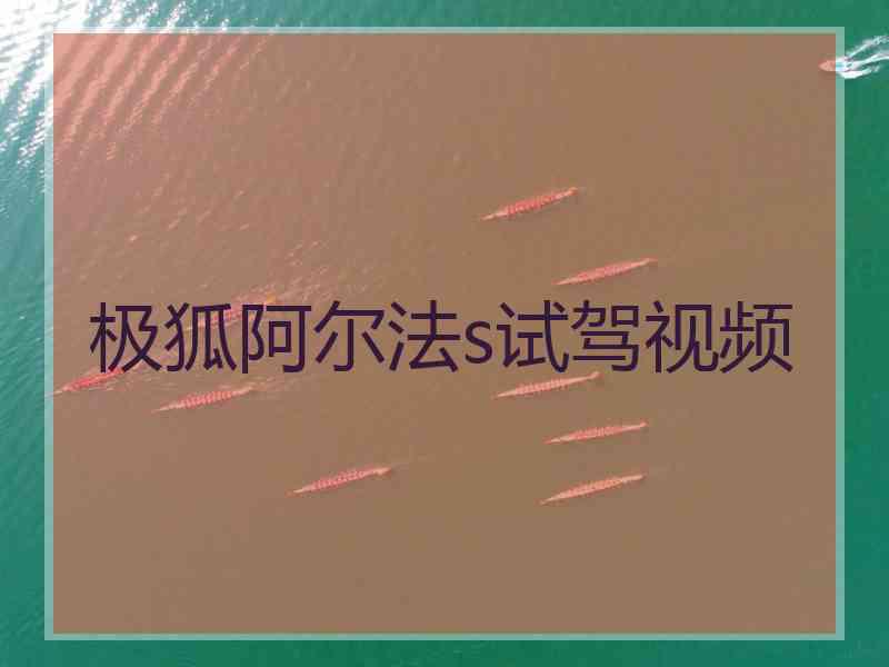 极狐阿尔法s试驾视频