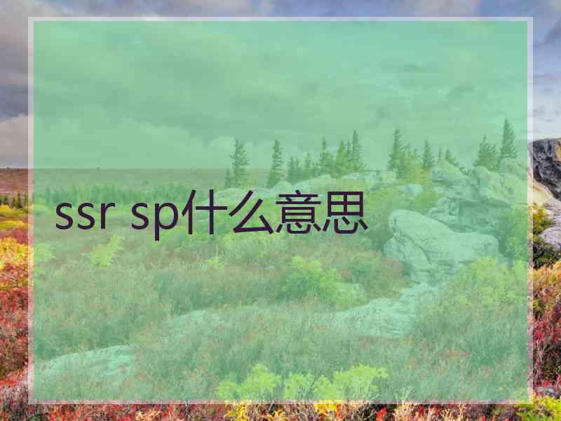 ssr sp什么意思