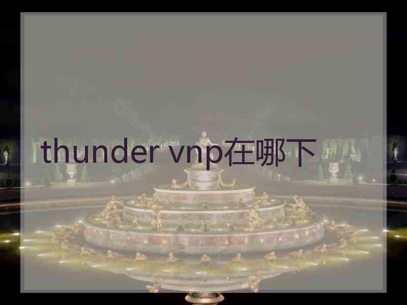 thunder vnp在哪下