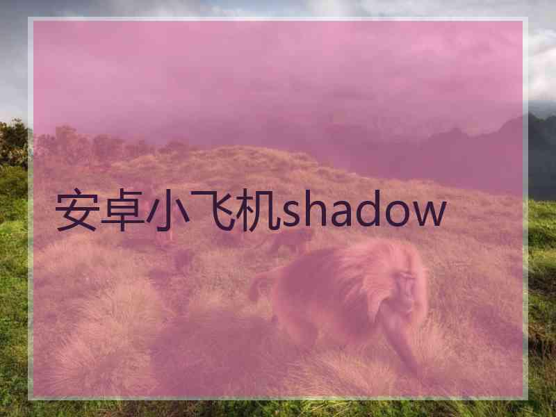 安卓小飞机shadow