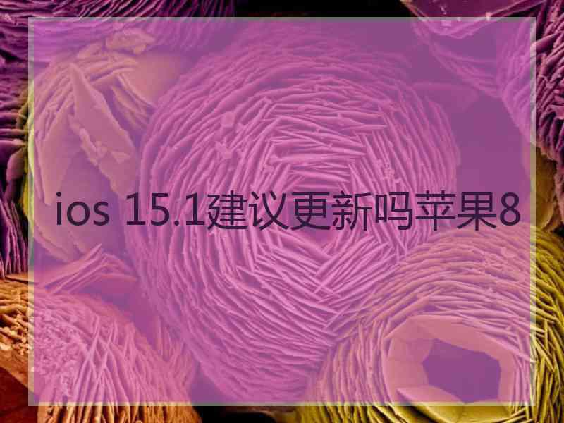 ios 15.1建议更新吗苹果8