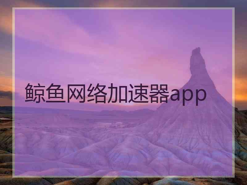 鲸鱼网络加速器app