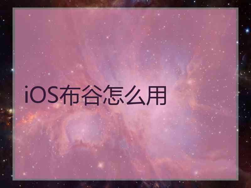 iOS布谷怎么用