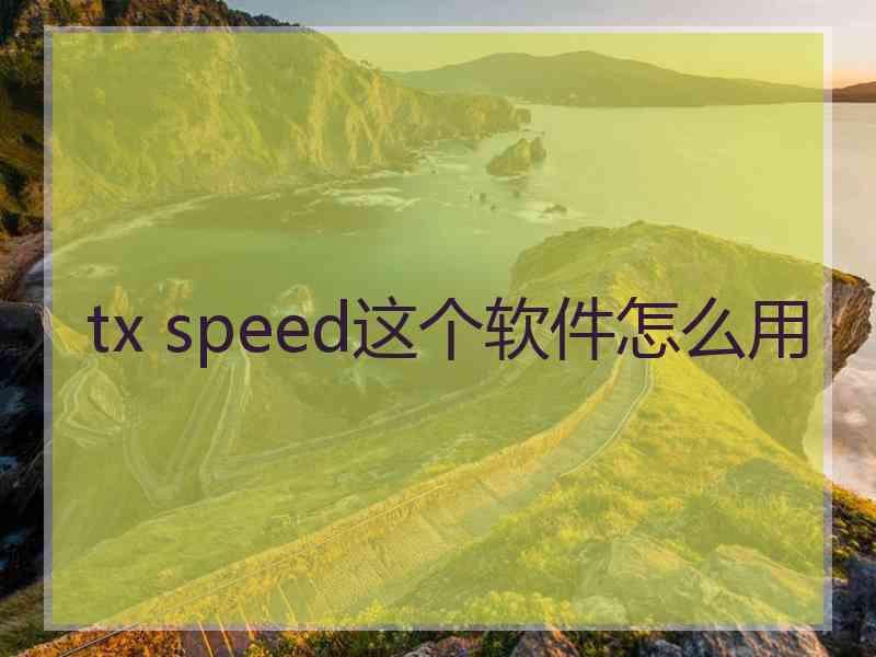 tx speed这个软件怎么用