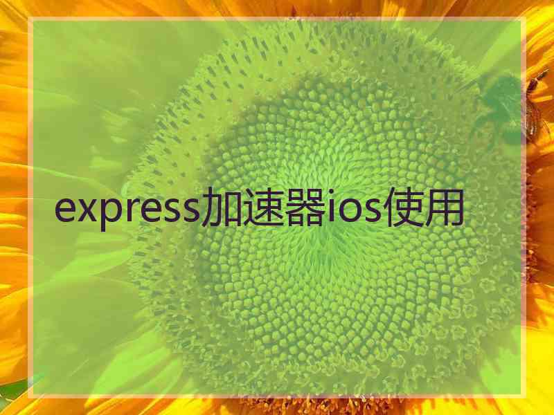 express加速器ios使用