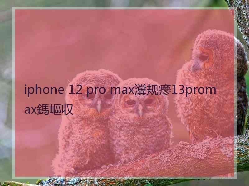 iphone 12 pro max瀵规瘮13promax鎷嶇収